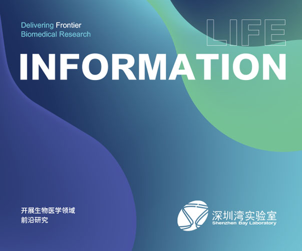 上海品牌設計公司如何打造一場高效的品牌設計發(fā)布會PPT？